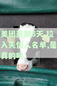 美团逾期一年，将被纳入失信被执行人名单？真相大揭秘！