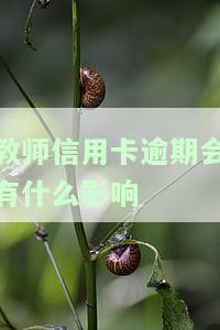 教师信用卡逾期的影响及解决方法