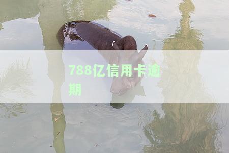 2020年全国信用卡逾期情况：大概多少人逾期，总额多少亿？2021年数据又如何？