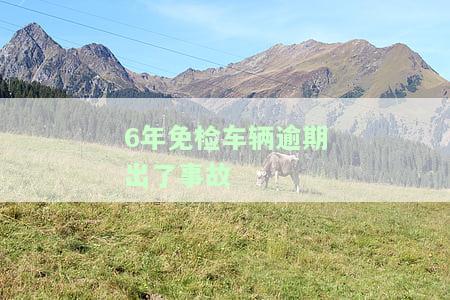 6年免检车辆逾期：如何处理？