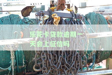乐花卡贷款逾期一天会否上征信？影响大吗？该如何处理逾期问题？
