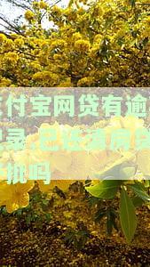 支付宝网贷有逾期记录,已还清房贷好批吗