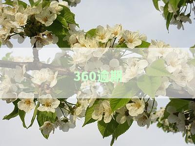 360逾期2年没事，但借条逾期2年未还，无法一次性偿清，征信无记录，可能被起诉，后果严重