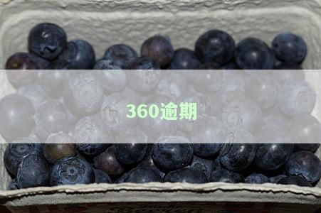 360逾期会怎么样？逾期后果严重吗？如何处理逾期问题？