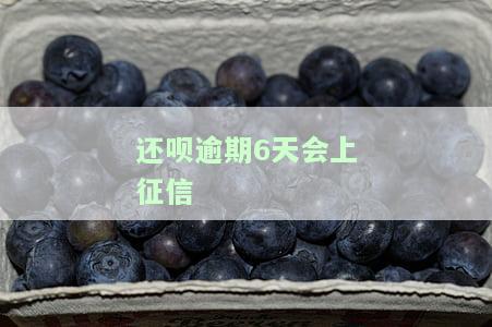 还呗逾期七天会起诉？已还2000多，严重吗？