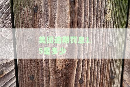美团罚息还能翻倍的：利滚利风险揭示