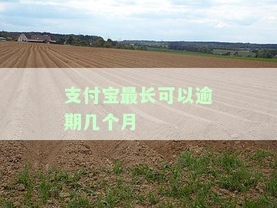 支付宝最长可逾期多久还款？