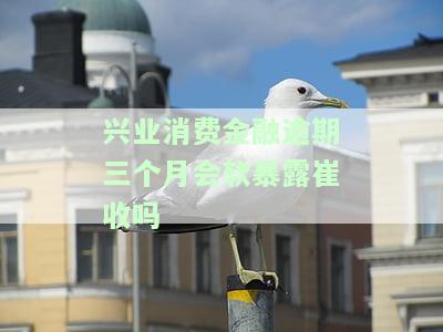 兴业消费金融逾期一个月会影响信用卡吗？包括额度、使用及征信显示情况，以及逾期三个月的后果是什么？