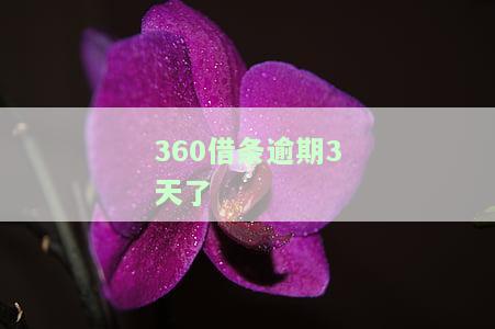 逾期第三天，已还逾期部分，还需还全款吗？影响下次借款吗？