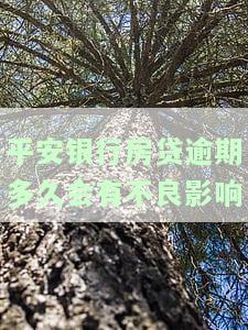 平安银行房贷逾期多久会有不良影响-平安银行房贷逾期多久会有不良影响征信