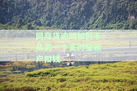 网商贷逾期如何避免从其他支付宝账户扣款？详细解析与操作视频