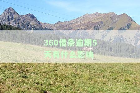 逾期5天的影响：应收多少逾期费？