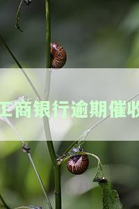 工商逾期后95588频繁催收，协商还款方案