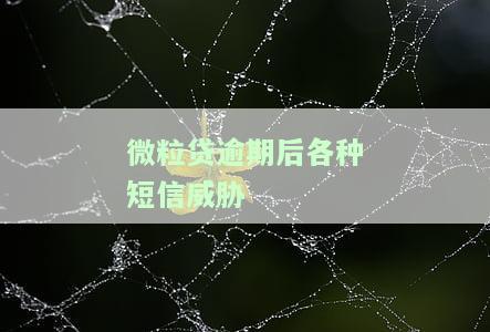 微粒贷欠款四天，手机发来短信威胁：如何应对？