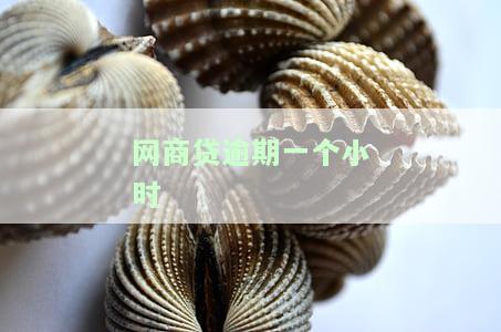 网商贷逾期一个小时还款会否上征信？影响信誉度吗？
