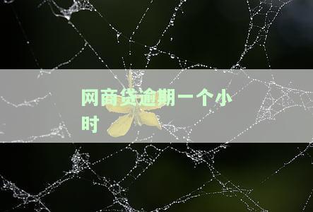 网商贷逾期一个小时：如何弥补影响？