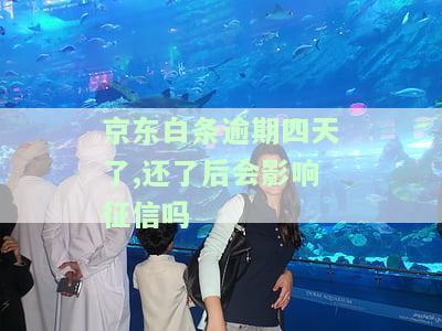 逾期四天了，还了后是否会影响征信？解决方案是什么？
