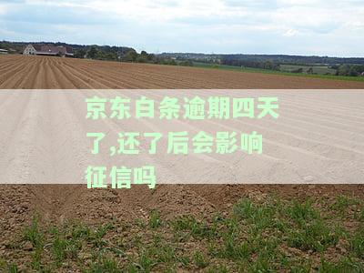 逾期四天还了后是否会影响征信？知乎用户分享经验