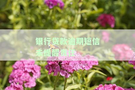 贷款逾期银行未通知：责任归属、能否起诉及担保人权益保护
