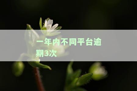 一年内三次逾期：对征信、房贷的影响及后果