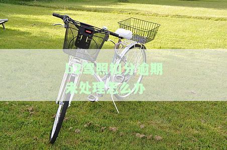 B2驾照扣分逾期未审验的严重后果及解决办法