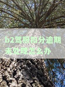 B2驾证扣分了能不能逾期审？扣分可以逾期多久年审？扣分可以拖多久处理？扣分到期是否还能开车？