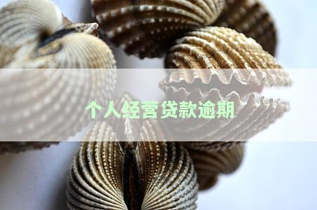 个人经营贷款逾期，能否起诉公司、股东及索赔？详解法律责任