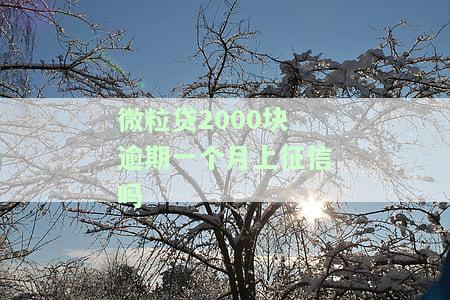 微粒贷2000块逾期一个月上征信吗-微粒贷逾期2000多60多天了会怎么样