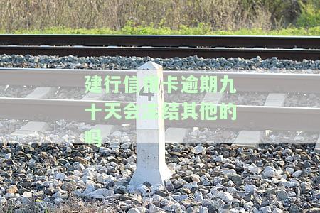 建行信用卡200元逾期10天：后果、解决办法及利息计算