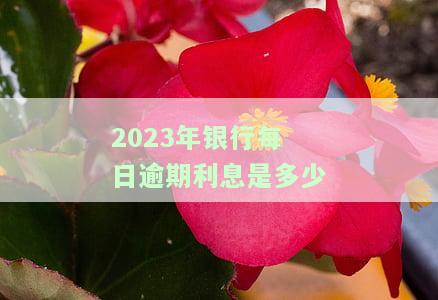 2023年银行每日逾期利息是多少