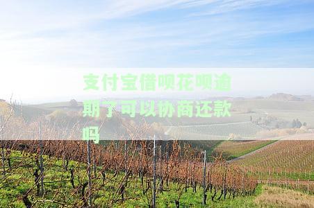 支付宝借呗花呗逾期了可以协商还款吗