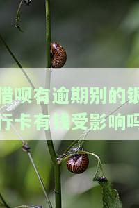 借呗逾期会影响其他银行卡吗？该怎么办？
