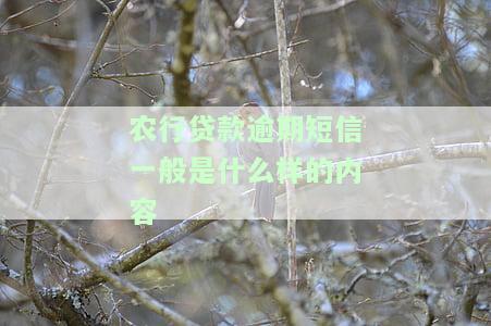 农业银行催贷款短信模板：确保真实，及时还款通知