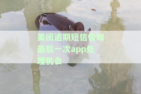 美团逾期短信告知最后一次处理机会及费用，逾期催收短信减少，需尽快回电协商否则可能面临诉讼