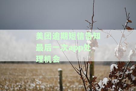 美团逾期三天收到短信威胁：协商还款否则将被起诉