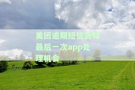 美团逾期短信告知最后一次app处理机会