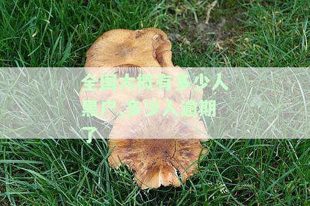 全国大概有多少人黑户,多少人逾期了-全国大概有多少人黑户,多少人逾期了呢