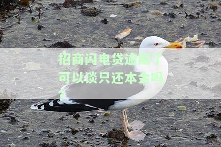 招商闪电贷还不上：后果、解决办法与是否会坐牢？