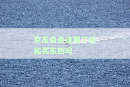 逾期了还能买东西吗？现在如何处理？