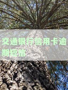 如何取消/关闭交通银行信用卡逾期短信提醒？逾期3个月未还，可能面临法院移交