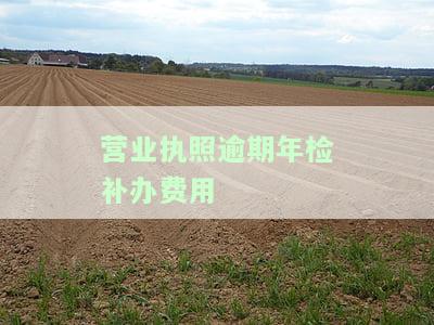 营业执照逾期年检补办费用多少？错过年检如何补审及处罚？