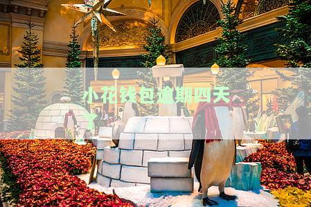 小花钱包逾期四天，还能借款吗？安全性如何？该怎么办？