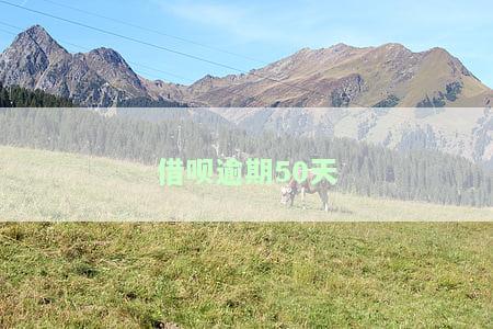 借呗逾期50天已还清欠款，剩余部分是否还会被催收？逾期还清后多久征信恢复正常？逾期500天的影响及恢复额度时间？逾期50天，长期不还将面临什么后果？