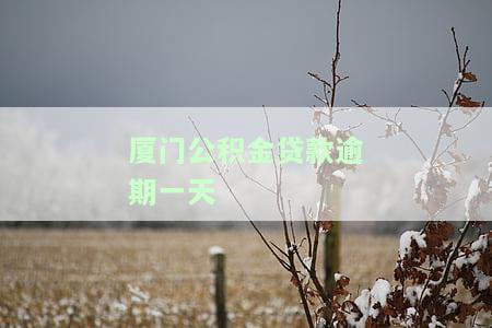 厦门公积金贷款逾期一天-厦门公积金贷款逾期一天有影响吗