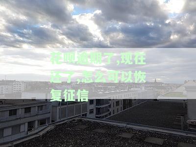 花呗逾期了,现在还了,怎么可以恢复征信