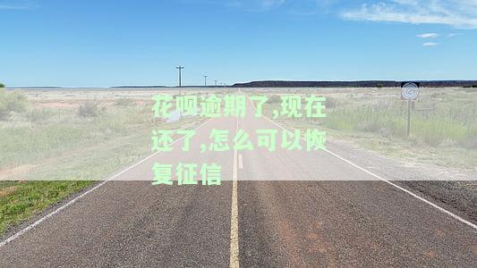 花呗逾期后还款，额度能否恢复？