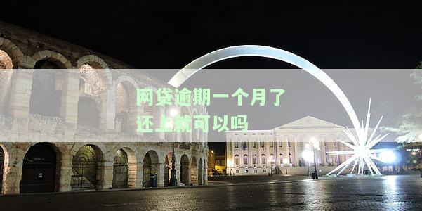 网贷逾期一个月后还款，是否会影响征信？