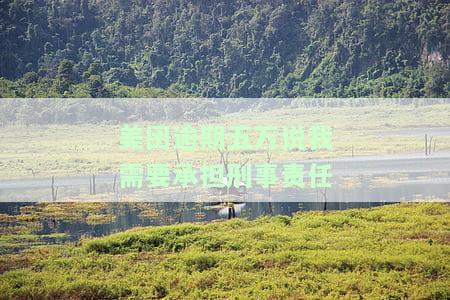 美团逾期五万需担责？刑事责任如何处理？