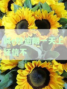 诚e赊逾期一天上征信不