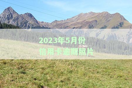 2020年信用卡逾期图片及后果，包括截图和欠款情况
